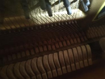 pianino gence: ​Təcili satılır. Yer darlığı səbəbindən satırıq. Alət saz — 1