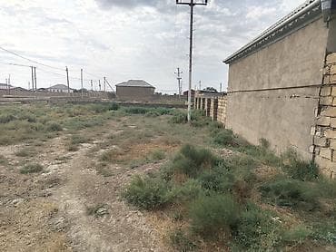 savalan torpag: 6 sot, Tikinti, Kupça (Çıxarış) — 5