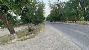 nabranda havuzlu kiraye evler: 3 otaqlı, 170 kv. m, Kredit yoxdur, Yeni təmirli — 15