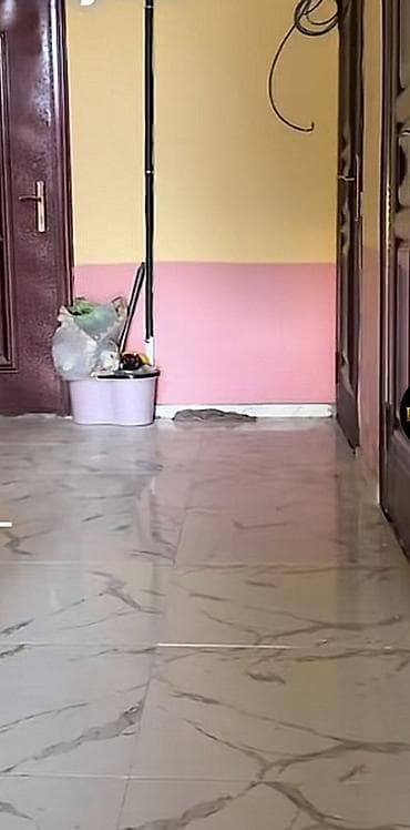 evler bina: Masazır, Qurtuluş 93 – Ay Store-nin arxasında yerləşən yaşayışlı — 4