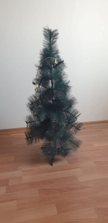 avokado ağacı: Yeni il ağacları — 1