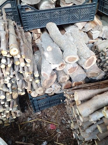 islenmis kubik: Qablaşdırılmış odun və kindling dəstləri. Ünvan : Binə qəsəbəsi — 10