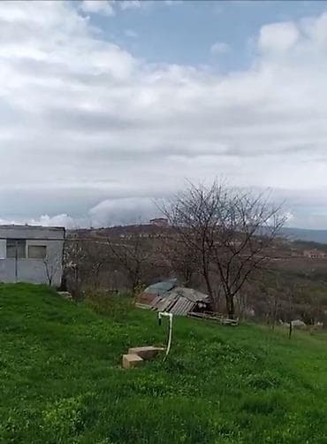 ev alqi satqisi zabrat 1: 6 sot, Tikinti, Mülkiyyətçi, Kupça (Çıxarış) — 4