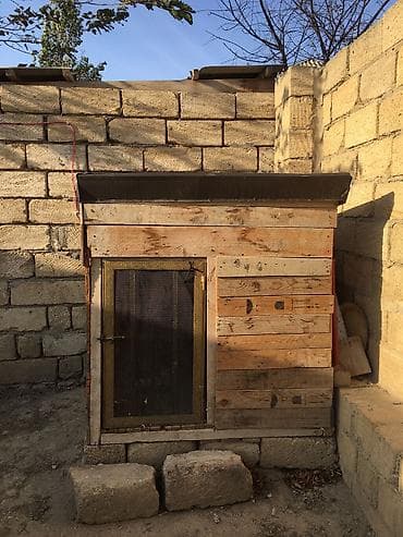 kiraye bina: Butka satılır — 6