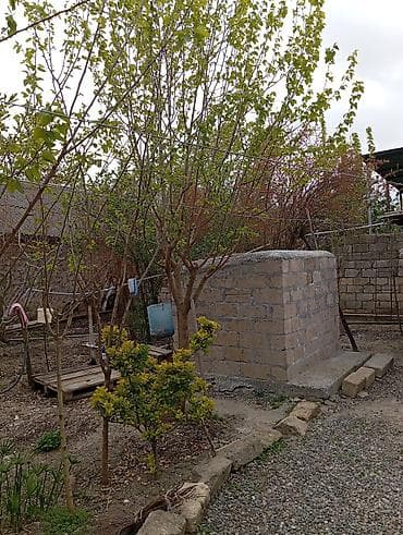 аренда дачи в баку посуточно: 145 м², 4 комнаты, Водопровод — 3