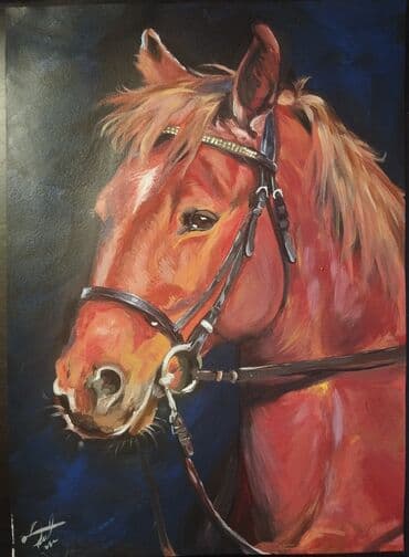 meymun şəkli: Məhsul: At portreti rəsm əsəri - Texnika: kağız üzərində akril boya — 1