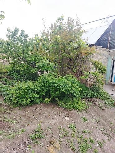 evler satdiq: 1 otaqlı, 2 kv. m, Orta təmir — 3