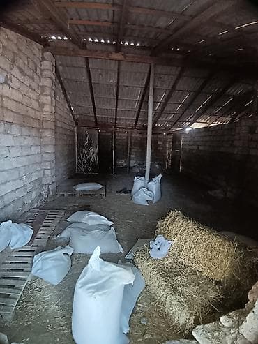 Yem dükanı kimi anbar kimi verilir yol qırağıdır maştagada yerlesir — 1