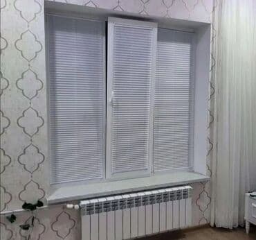 Растения: Zebra jalüz pərdələr - İkiqat (zolaqlı) parça quruluşu sayəsində işıq — 10