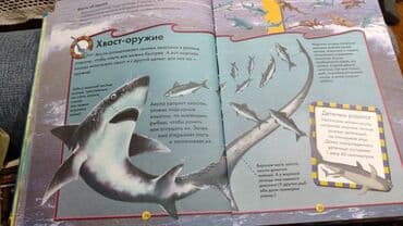 детские сумки: Детские сказки,в идеальном состояние несколько книжек новые.цены от 3 — 8