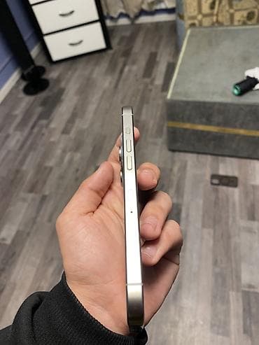 iphone 12 pro satilir: IPhone 15 Pro, 128 GB, Gümüşü, Simsiz şarj — 3