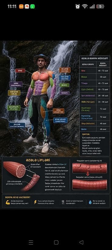 Şəxsi fitnes məşqçiliyi və bədənformalaşdırma xidməti - Məqsəd — 5