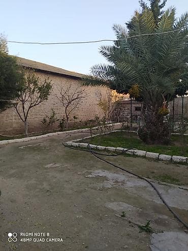 2 sot: 6 sot, Makler, Kupça (Çıxarış) — 6