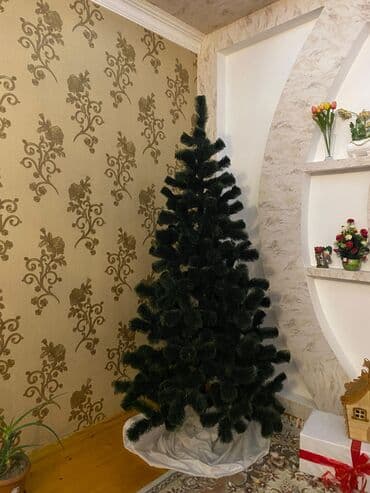 şam qapılar: Şam ağacı 210sm — 1