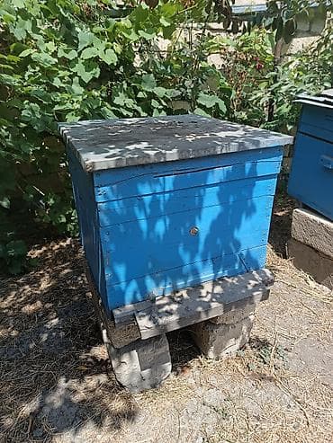 heyvan oyuncaqlari: Arıçılıq üçün taxta pətək korpusları - Material: qalın taxta — 5