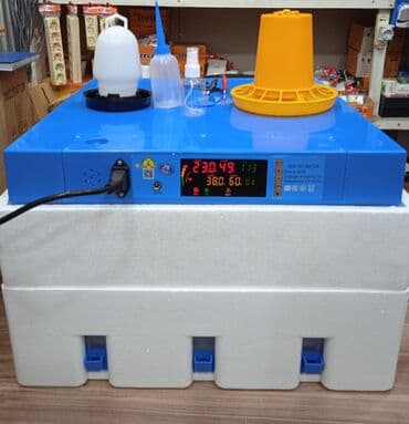 qirqovul satilir: Çin, Fabrik istehsalı, Tam avtomat, Bütün növ quşlaq üçün — 1