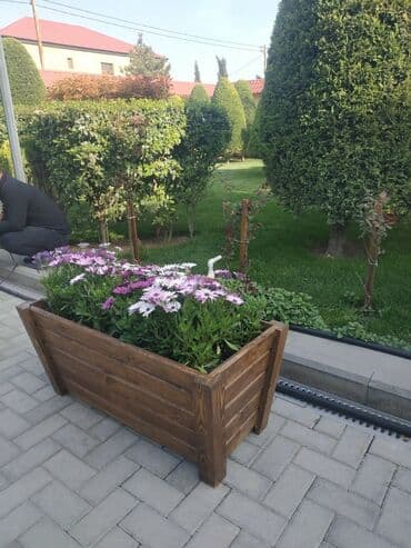 Dibçək güldanlar. Dipçəklər bir başa sexdən.Sex qiymətinə. ♦️Endrim