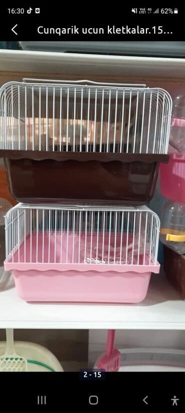 xamyak adlari: Cunqarik xamyaklar.ele öyrəşib dislemirler.her rəngdə var.qefeslerde — 3