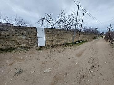 22 sot, Kupça (Çıxarış)