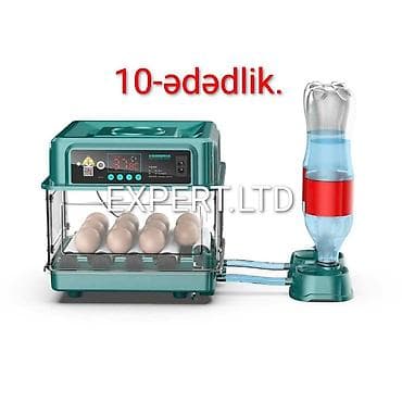 Çin, Tam avtomat, Bütün növ quşlaq üçün, Zəmanət ilə