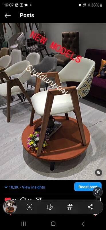 Bitkilər: Qonaq otağı üçün, Qatlanmayan, Stul — 2