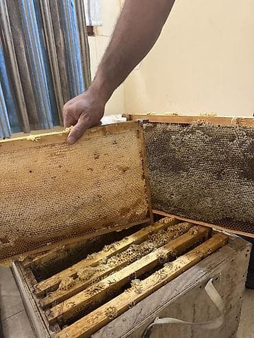 İçkilər: Süzülmüş təmiz dağ balı. Öz istifadəmiz üçün saxlayırıq artıq olanı — 2