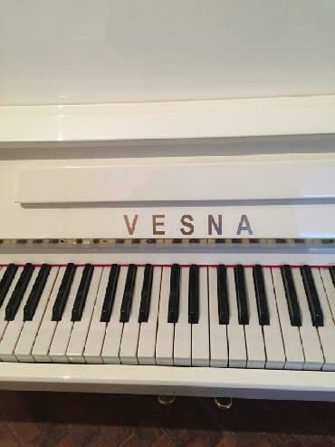 piano dersleri baki: Pianino Rusya stehsalı. Cadırılma və köklənmə qiymətə Daxildi. Zəmanət — 1