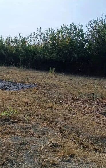 Qarajlar: 25 sot, Biznes üçün, Mülkiyyətçi, Bələdiyyə — 6