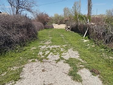 yeni guneşlide ucuz evler: Kənd təsərrüfatı — 4