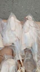 bugdanin qiymeti: Liqore sort Colpalar ela colpalardi qiymetleri 6 manat 1 kl 100q — 2