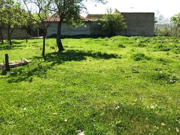 yeni əmlak sumqayıt: 30 sot, Kənd təsərrüfatı, Mülkiyyətçi, Kupça (Çıxarış) — 19