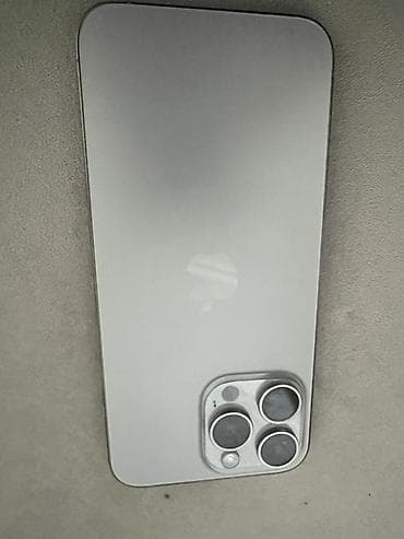 IPhone 15 Pro Max, 256 GB, Gümüşü