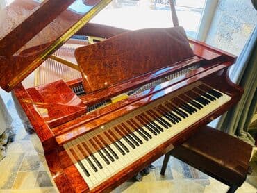 malık zeynalov: S.Ritter royal və pianoları “Piano Renessans dövrünü” yaşayan uzaq — 1