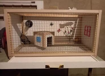 купить клетку для морской свинки: Dovşan,şinşila,bildirçin,cücə,xamyak,pişik,quş ve s kimi ev heyvanlari — 1