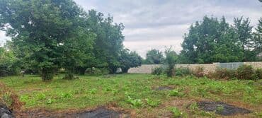 fatmayı torpaq: 11 sot, Tikinti, Maklerlər narahat etməsin, Kupça (Çıxarış) — 3