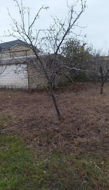 pirşağı torpağ: 10 sot, Biznes üçün, Mülkiyyətçi, Kupça (Çıxarış) — 4