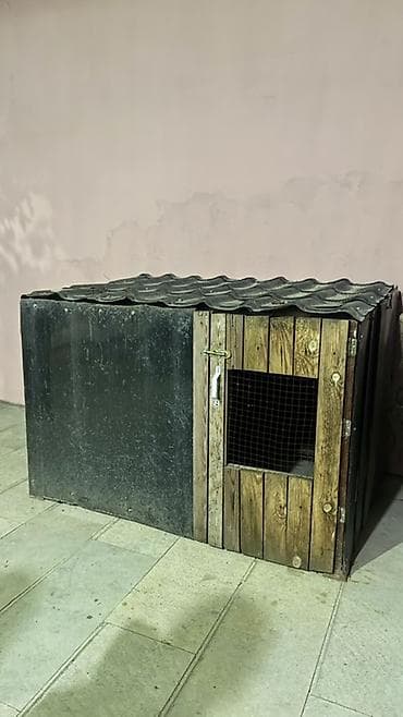 vəşi itlər: Taxta it evi / volyer - Material: ön hissəsi taxta panellər, yan və — 1