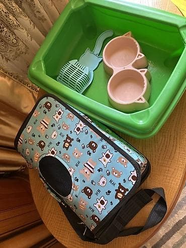 Pişik üçün lazımlı aksesuarlar dəsti Tərkib: - Daşına bilən pişik