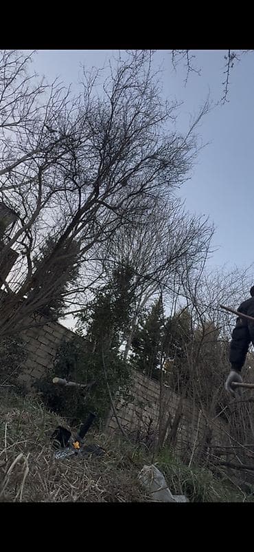 Avto xidmətlər: Resulzade qesebesi pasyolka kirovda ne qeder isteyirsen odun var — 1