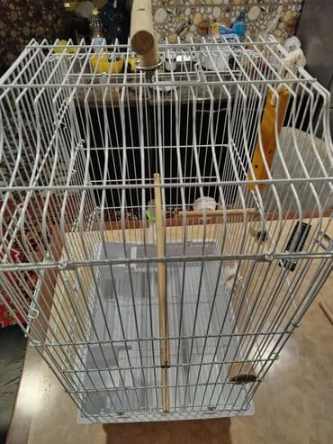 qəfəsi: Quş qəfəsi – geniş və funksional model - Rəng: ağ metal karkas, ağ — 7