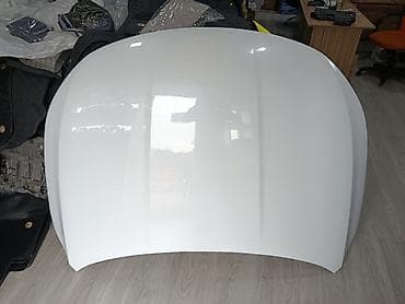 avtomobil boyaları: BYD Destroyid05 aftomobiləri üçün ağ mirvari rəng kapot - Material — 1