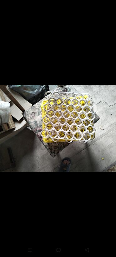 incubator aparati qiymeti: Böyük tutumlu inkubator – elektriklə işləyən, şüşə qapılı, metal — 6