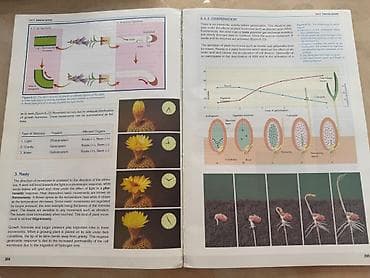 bas gitara: Məhsul: “Biology 3” dərsliyi Nəşriyyat: Sürat Publications ( — 3