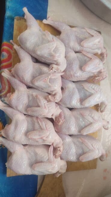 first class cay: Cox Dadli Sizde Alin! Her Ölçüdə her Böyüklükdə Bildirçin etimiz var — 4