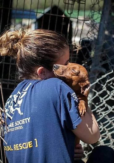 dog argentin: 🐶 İt Gəzdirilməsi Xidməti | Bakı Salam! Mən itləri çox sevirəm və — 3