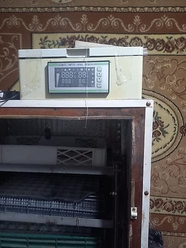 бизнес в баку: Inqvator — 2