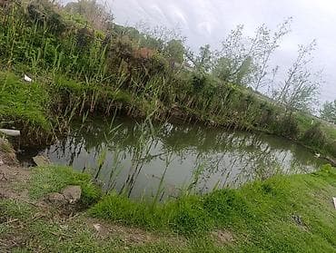 bilecer kiraye evler: Xaçmaz, 65 kv. m, 3 otaqlı, Hovuzlu, İşıq, Su, Kanalizasiya — 3