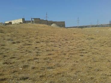 şabran torpaq: 8 sot, Tikinti, Mülkiyyətçi — 5