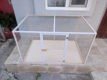 ag dovsan: Papuqay,dovşan,hamster,şinşila,bildirçin,cücə,xamyak,pişik,quş,tısbağa — 3