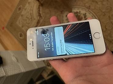 IPhone 5s, Gümüşü, Barmaq izi